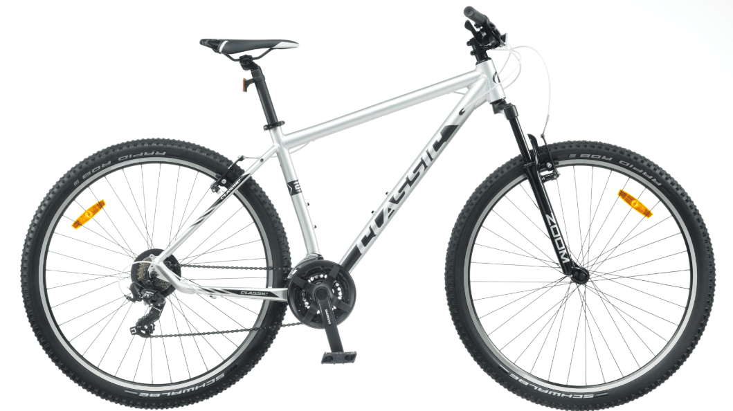 Dviratis CLASSIC Team 29