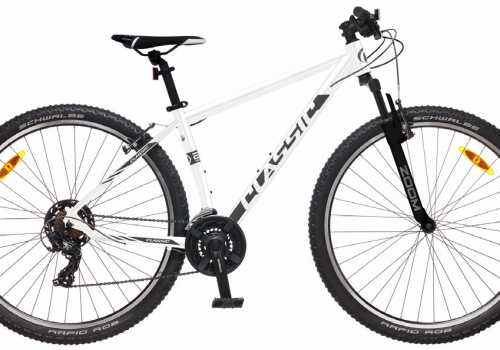 SCOTT Roxter 24 teal blue Bike – Veloma