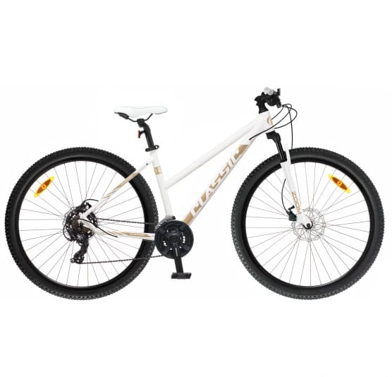 Dviratis CLASSIC Pro Lady 29