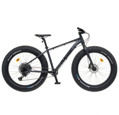 Dviratis CLASSIC FÄTT 12k 26" must