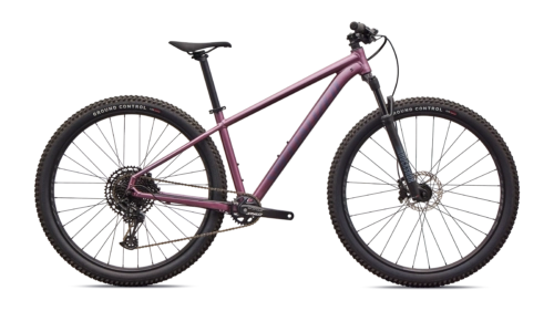 Dviratis Specialized Rockhopper Expert
