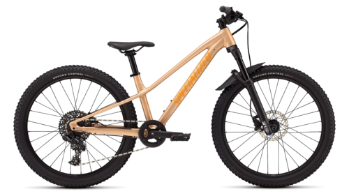 Dviratis Specialized Riprock Comp 24