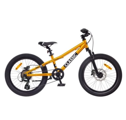 Dviratis CLASSIC Pro 20 Golden